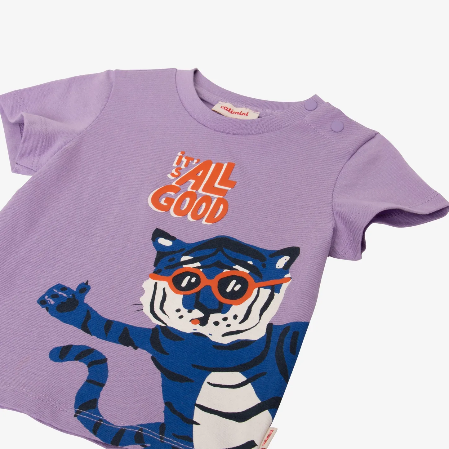 Discount Baby Boy T-Shirt With Tiger In Glasses Child T-Shirts, Polos & Shirts
