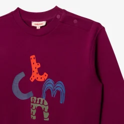 Sale Baby Boys' Purple Sweatshirt Child Cardigans & Sweaters