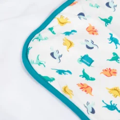 Hot Microfleece Blanket With Dinosaur Print Child Accessories
